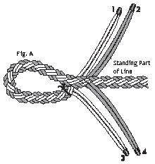 8 strand tuck splice figure A using a fid