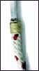 Machovec presents paralell core ropes
