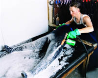 How neoprene is made