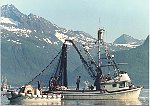 Commercial fishing line floating or sinking for all applications