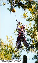 Pamper Pole is part of the high ropes challenge course